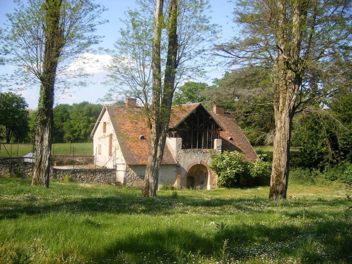 Le Chateau De La Brosse Chambres D'Hotes Brinay  Екстериор снимка