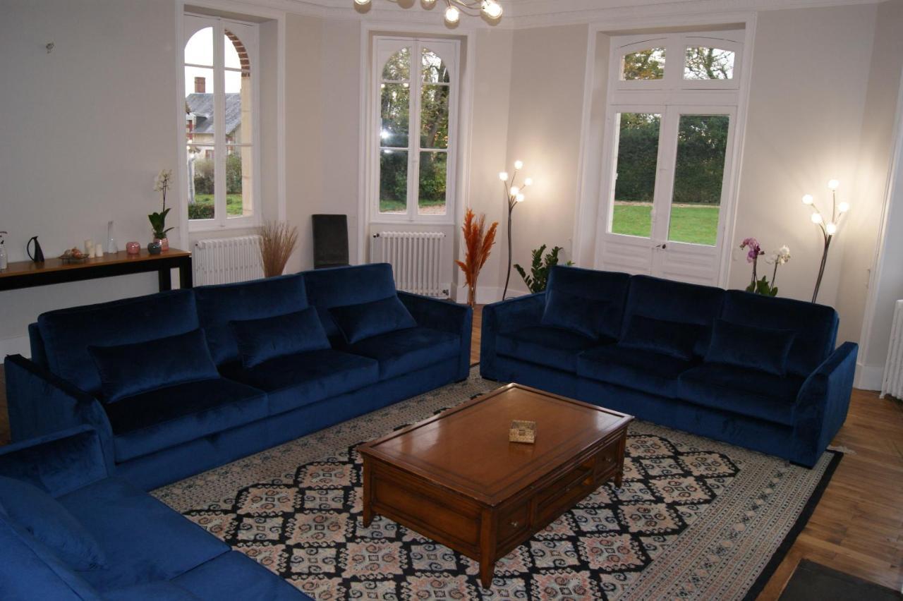 Le Chateau De La Brosse Chambres D'Hotes Brinay  Екстериор снимка