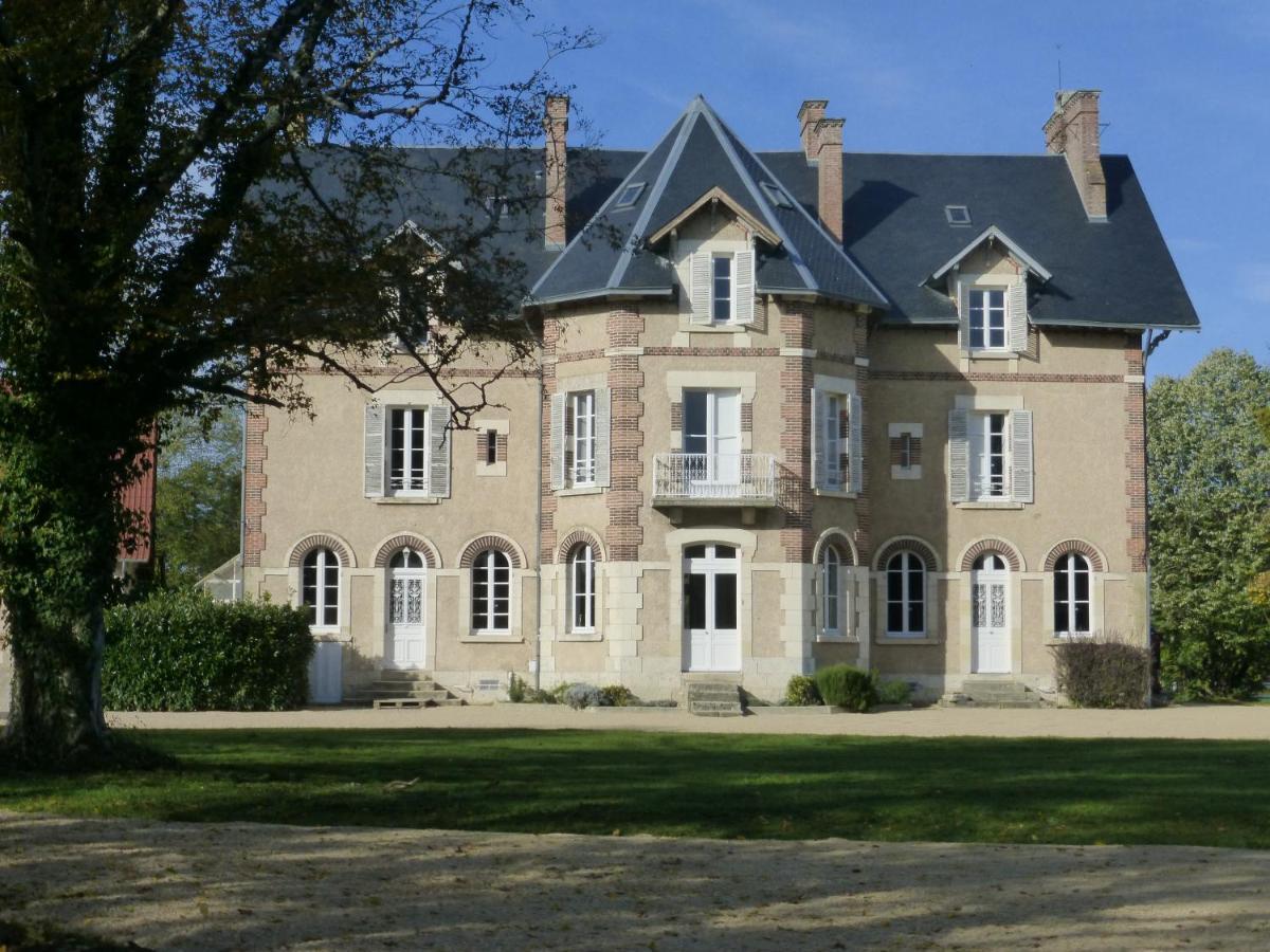 Le Chateau De La Brosse Chambres D'Hotes Brinay  Екстериор снимка