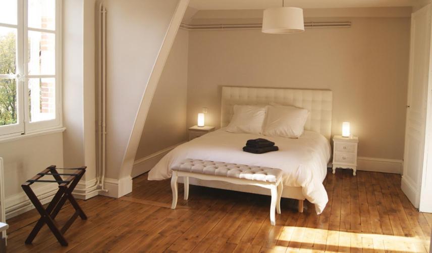 Le Chateau De La Brosse Chambres D'Hotes Brinay  Екстериор снимка