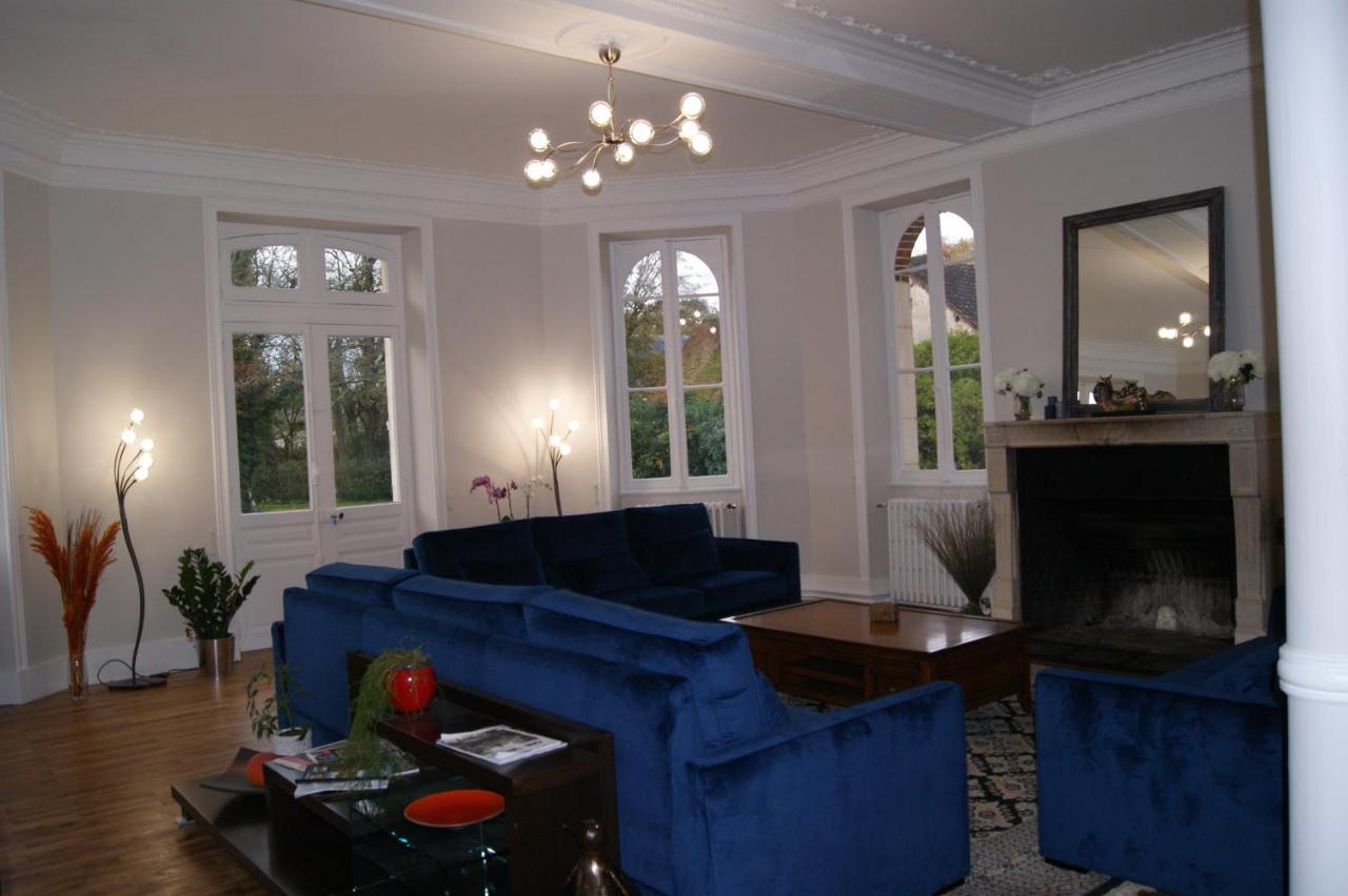 Le Chateau De La Brosse Chambres D'Hotes Brinay  Екстериор снимка